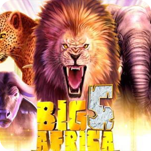 BIG 5 AFRICA