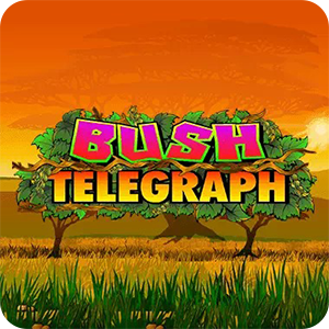 BUSH TELEGRAPH