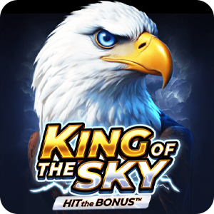 KING OF THE SKY: HIT THE BONUS